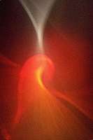 image: in vino: Portugieser II